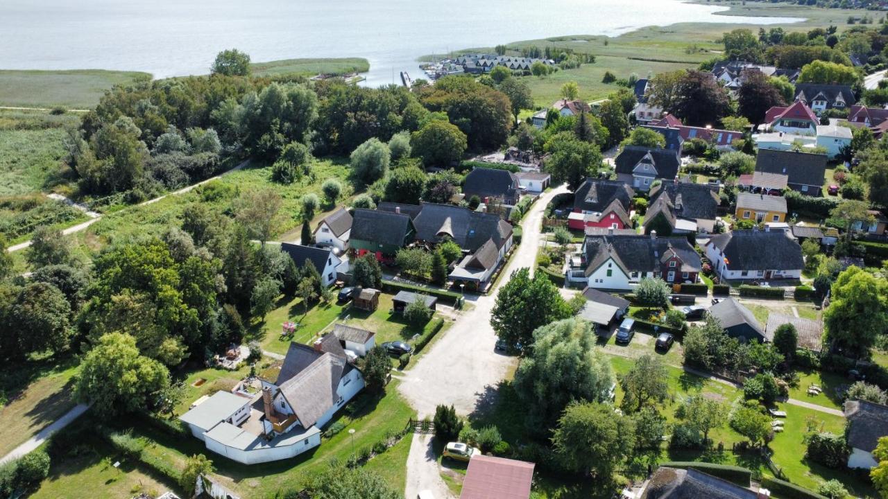 Toepferweg 06 Ferienwohnung Tine Ahrenshoop Exteriör bild